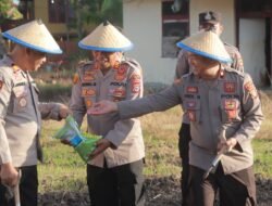 Polres Wajo Tanam Jagung Kuartal III, Kapolres Tegaskan Komitmen Dukung Ketahanan Pangan