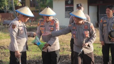 Polres Wajo Tanam Jagung Kuartal III, Kapolres Tegaskan Komitmen Dukung Ketahanan Pangan