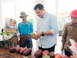 Pemkab Bantaeng Jalin Kerja Sama dengan UNHAS untuk Tingkatkan Kualitas Produksi Kakao