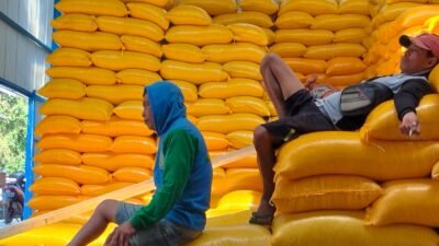 Petani Jagung Sulit Tembus Gudang Bulog, Standar Ketat Bikin Harga HPP Jadi Ilusi