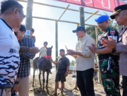 Bupati Bantaeng Minta Lomba Pacuan Kuda Tidak Dinodai Praktik Judi