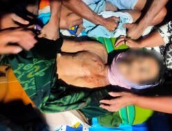 Seorang Pria di Wajo Tewas Diterkam Buaya di Sungai Bulete, Kapolsek Pitumpanua: Sungai Itu Habitat Buaya