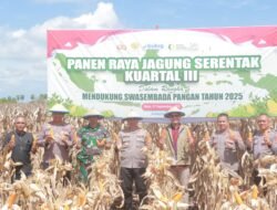 Sinergi Polres Wajo dan Petani Dukung Ketahanan Pangan Nasional