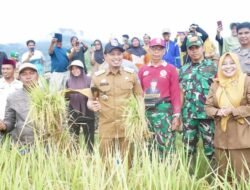 Pemkab Enrekang MoU Dengan Jasindo Terkait Jaminan Gagal Panen Petani Padi