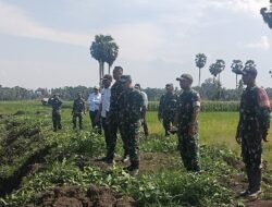 Dandim 1406/Wajo Dampingi Kunjungan Kerja Itjen Kementerian Pertanian RI dan Itjenad Tinjau Proyek Oplah Rawa di Wajo
