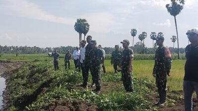 Dandim 1406/Wajo Dampingi Kunjungan Kerja Itjen Kementerian Pertanian RI dan Itjenad Tinjau Proyek Oplah Rawa di Wajo