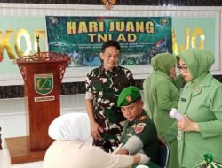 TNI Prima, Rakyat Sehat: Kodim 1406/Wajo Gelar Bakti Kesehatan Peringati Hari Juang Kartika Ke-80