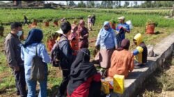 Tim Kesehatan UPT Puskesmas Loka Temui Petani di Ladang Untuk Melaksanakan Pemeriksaan Kesehatan Gratis