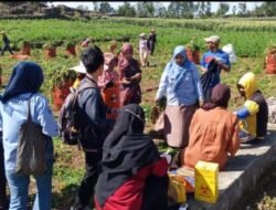 Tim Kesehatan UPT Puskesmas Loka Temui Petani di Ladang Untuk Melaksanakan Pemeriksaan Kesehatan Gratis