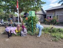 Staf UPT Puskesmas Dampang Kompak Laksanakan Aksi Bersih Gerakan Indonesia Asri