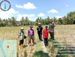 Dukun Ketahanan Pangan, Babinsa Koramil 02/Enrekang Dampingi Tim supervisor Tinjau Lahan Non Rawa.