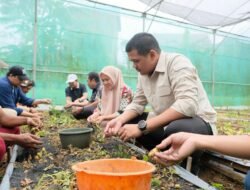 Pemkab Bantaeng Perkuat Ketahanan Pangan Lewat Distribusi Benih Unggul