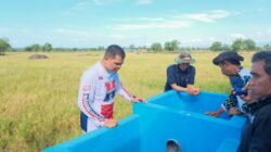 Bupati Bantaeng Tinjau Wilayah Pertanian Terdampak Cuaca Estrem