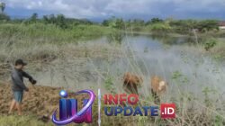 Tiga Orang Anak Tewas Tenggelam di Bekas Galian C di Maros