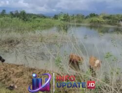 Tiga Orang Anak Tewas Tenggelam di Bekas Galian C di Maros