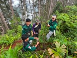 Penghijauan Hutan Pinus Pasongken, HIMAGRO UNIMEN Tegaskan Komitmen pada Lingkungan
