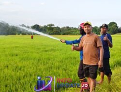 Kemarau Melanda, Anggota Komisi II DPRD Wajo Dorong Damkar Wajo Bantu Petani Aliri Sawah