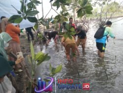 Kodim 1406/Wajo Tanam Mangrove Sambut HUT ke-81 TNI, Jaga Pesisir dan Lestarikan Lingkungan