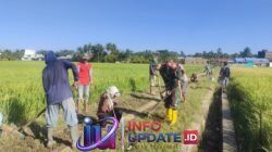 Babinsa Koramil 1406-10/Pitumpanua Bersama Warga Gotong Royong Bersihkan dan Perbaiki Jalan Tani