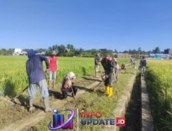 Babinsa Koramil 1406-10/Pitumpanua Bersama Warga Gotong Royong Bersihkan dan Perbaiki Jalan Tani