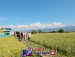 Pertanian Bantaeng Tetap Tumbuh 1,97 Persen di Tengah Tekanan Kemarau